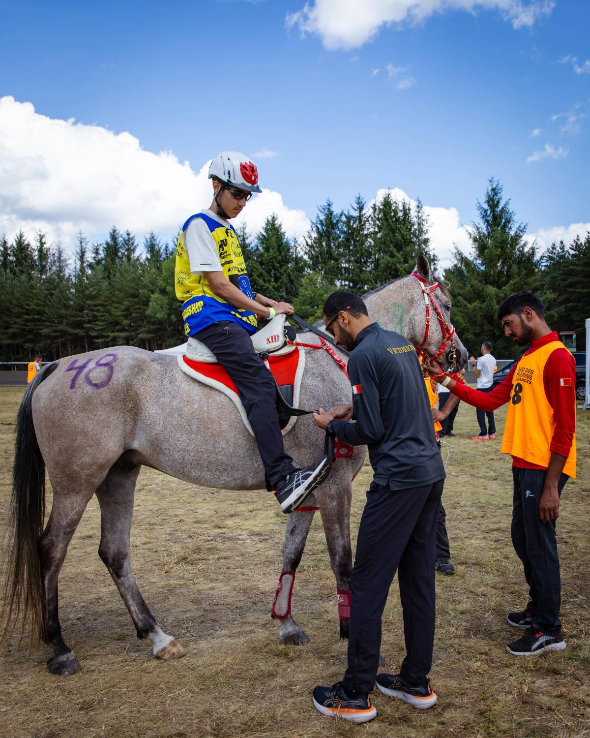 الفريق الملكي للقدرة يشارك في بطولة العالم للجياد عُمْر 8 سنوات بفرنسا