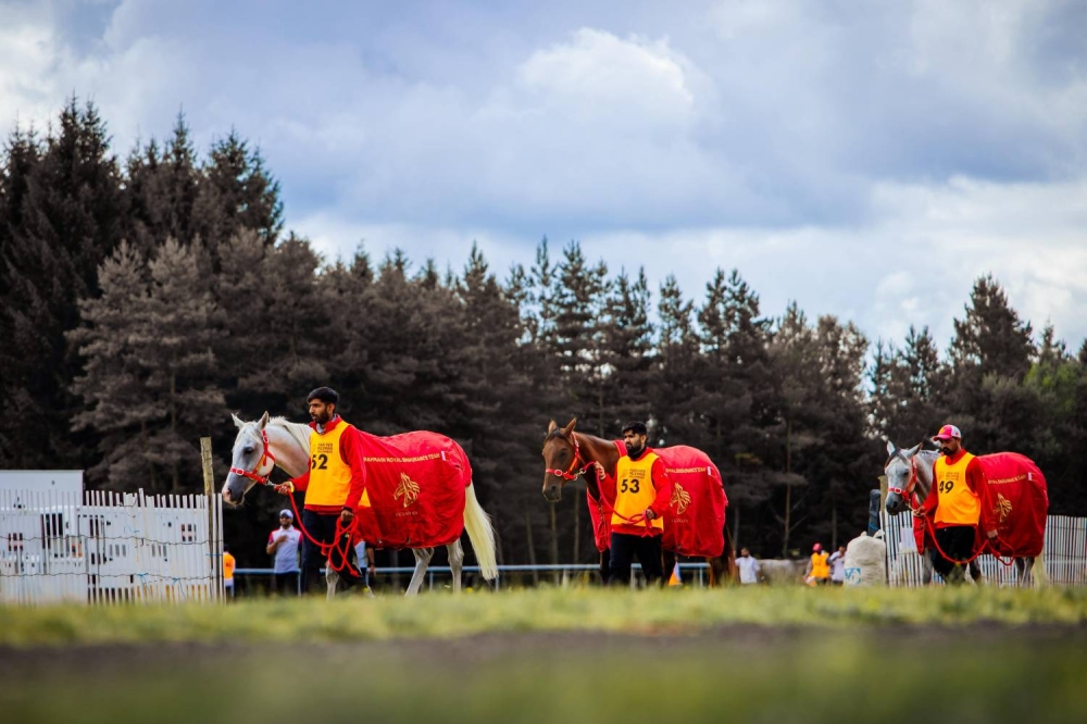 الفريق الملكي للقدرة يشارك في بطولة العالم للجياد عُمْر 8 سنوات بفرنسا