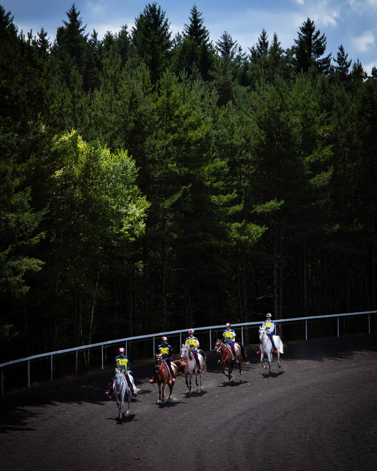 الفريق الملكي للقدرة يشارك في بطولة العالم للجياد عُمْر 8 سنوات بفرنسا