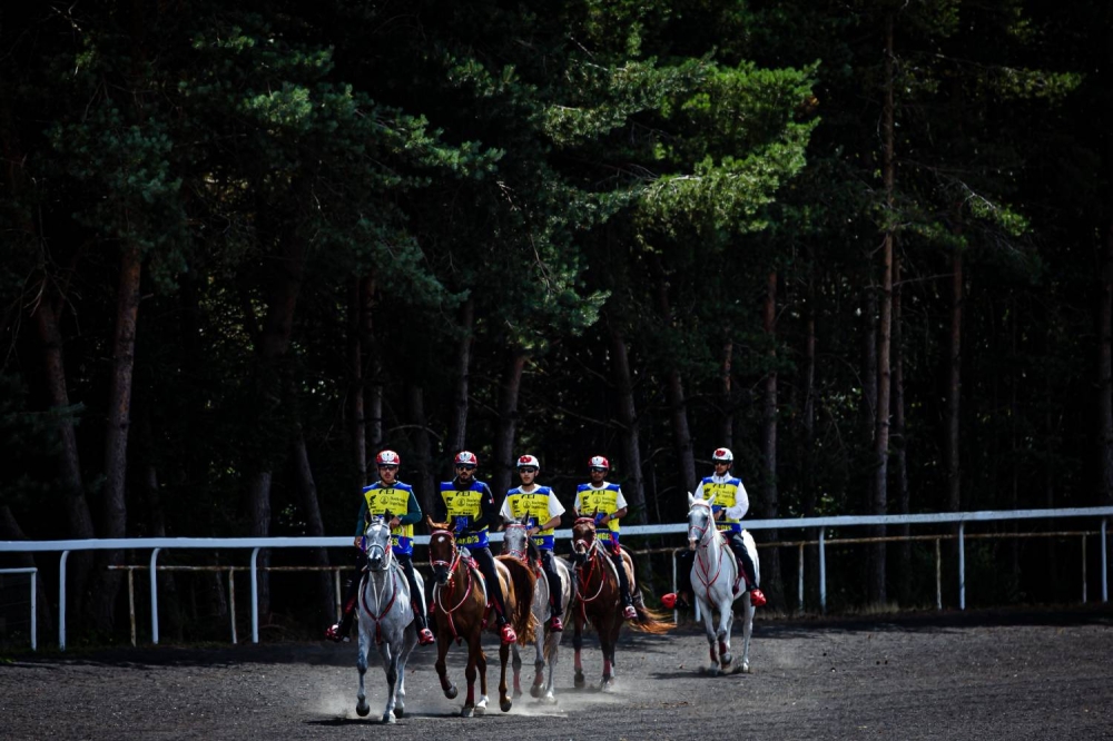 الفريق الملكي للقدرة يشارك في بطولة العالم للجياد عُمْر 8 سنوات بفرنسا