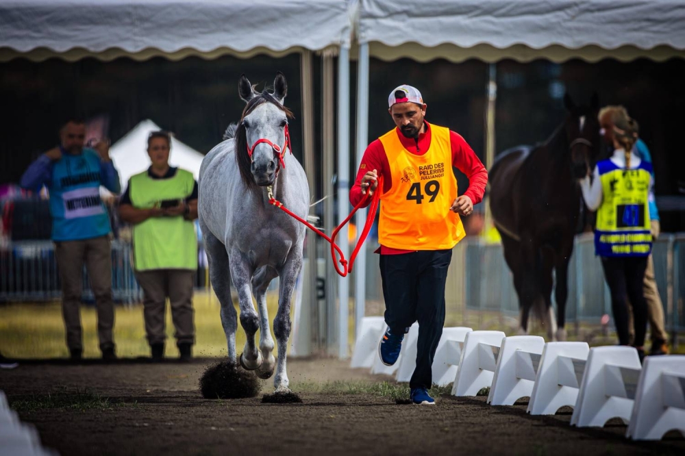 الفريق الملكي للقدرة يشارك في بطولة العالم للجياد عُمْر 8 سنوات بفرنسا