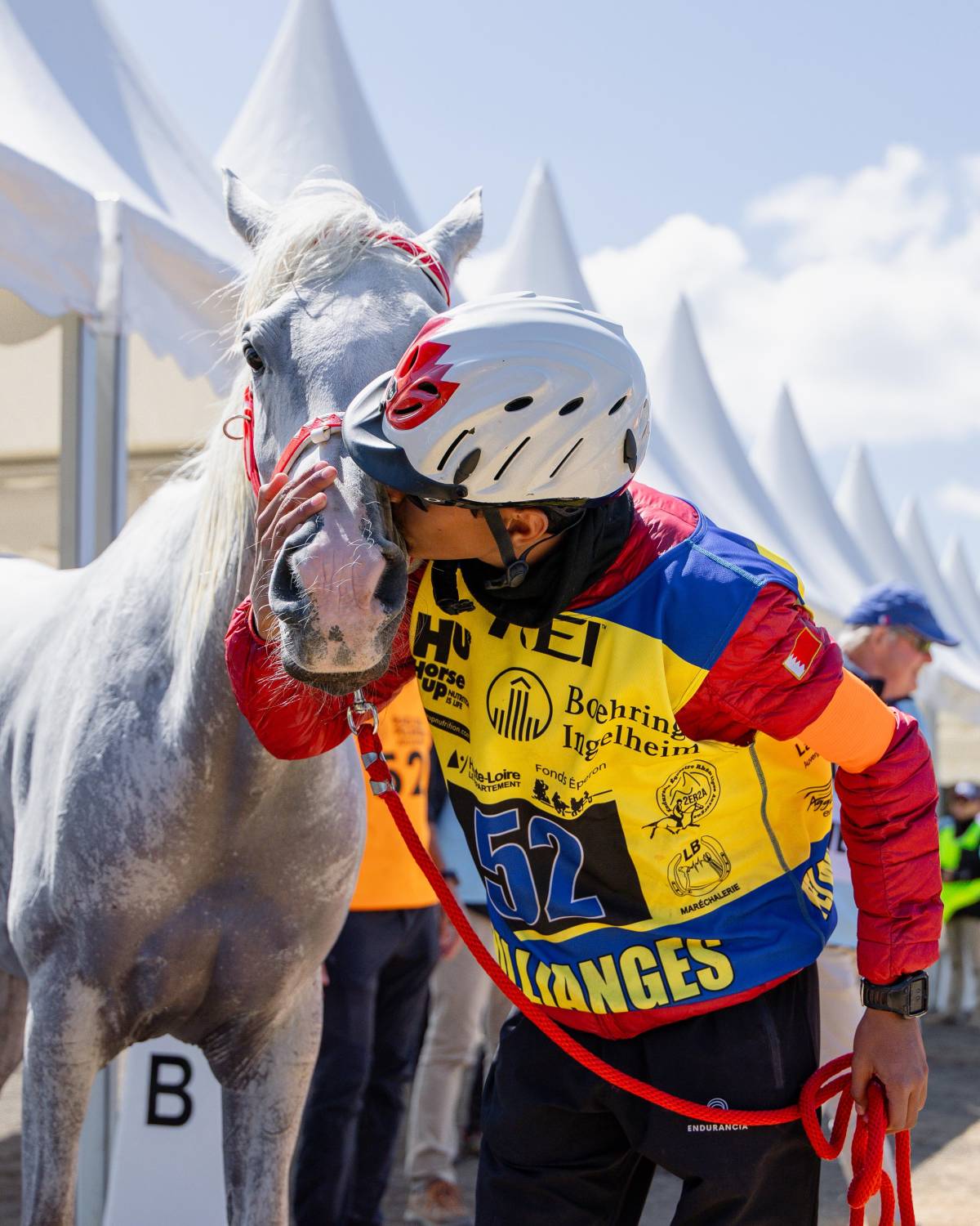 "الملكي للقدرة" يحرز فضية وبرونزية في بطولة العالم للجياد بعمر 8 سنوات