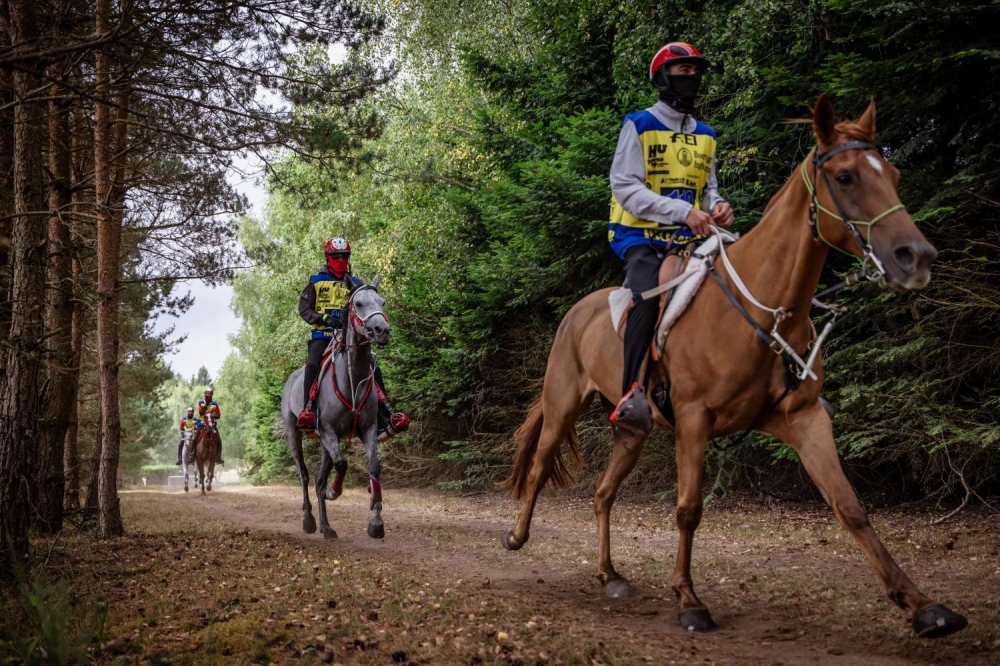 "الملكي للقدرة" يحرز فضية وبرونزية في بطولة العالم للجياد بعمر 8 سنوات