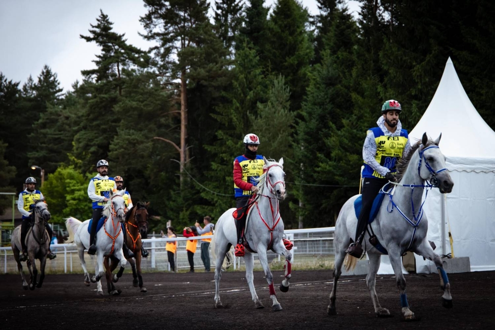"الملكي للقدرة" يحرز فضية وبرونزية في بطولة العالم للجياد بعمر 8 سنوات