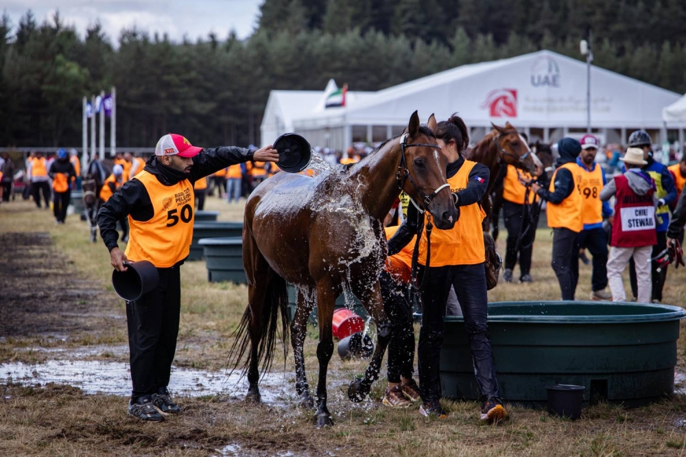"الملكي للقدرة" يحرز فضية وبرونزية في بطولة العالم للجياد بعمر 8 سنوات