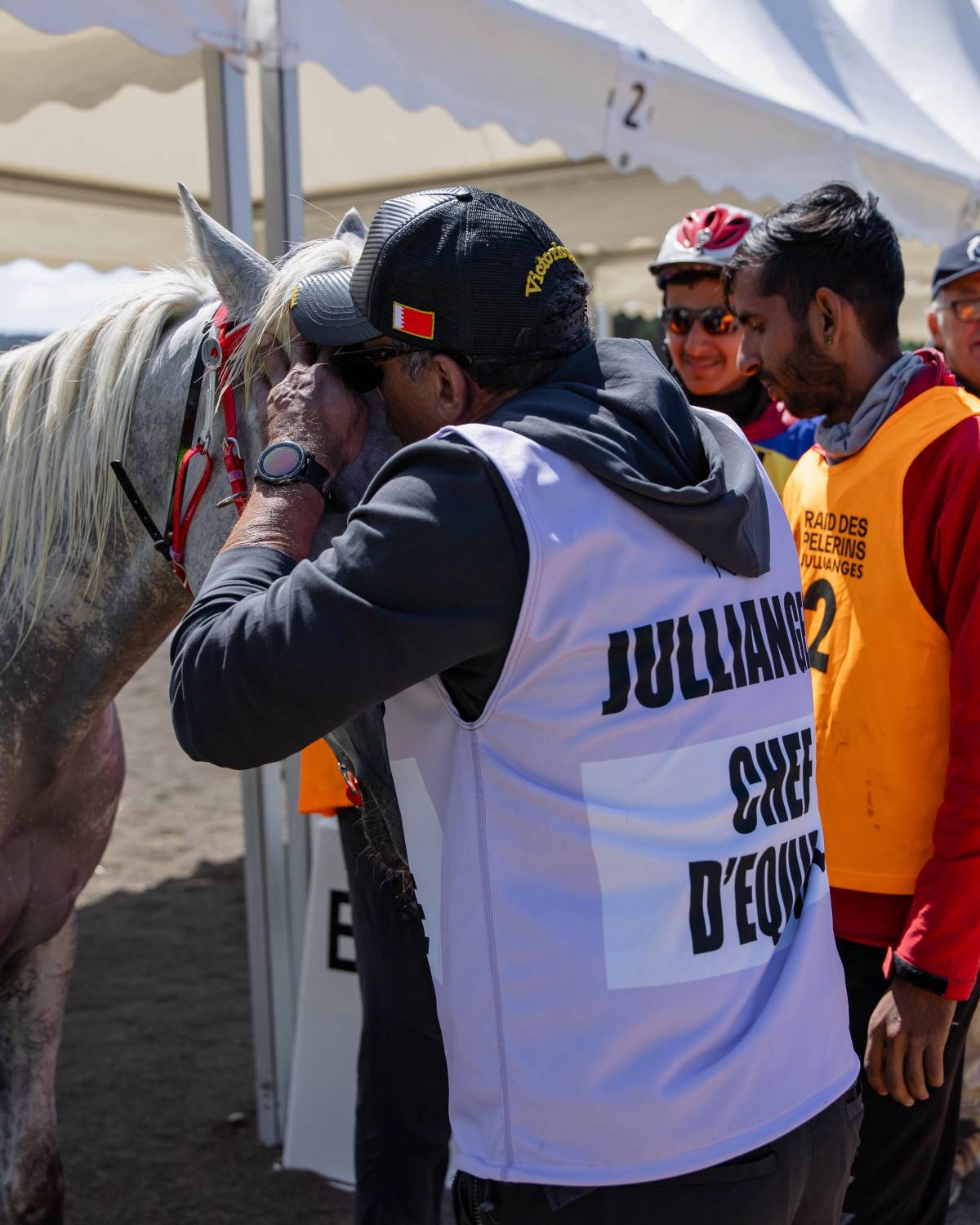 "الملكي للقدرة" يحرز فضية وبرونزية في بطولة العالم للجياد بعمر 8 سنوات
