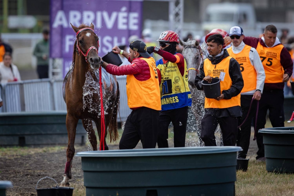 "الملكي للقدرة" يحرز فضية وبرونزية في بطولة العالم للجياد بعمر 8 سنوات