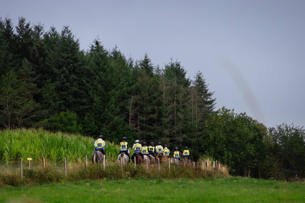 "الملكي للقدرة" يحرز فضية وبرونزية في بطولة العالم للجياد بعمر 8 سنوات