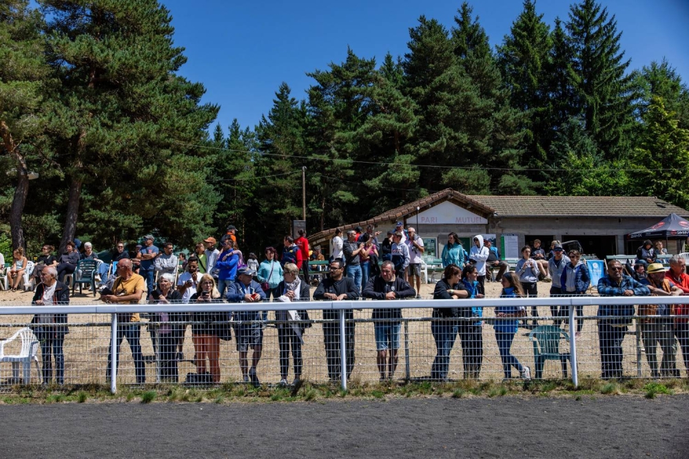 "الملكي للقدرة" يحرز فضية وبرونزية في بطولة العالم للجياد بعمر 8 سنوات