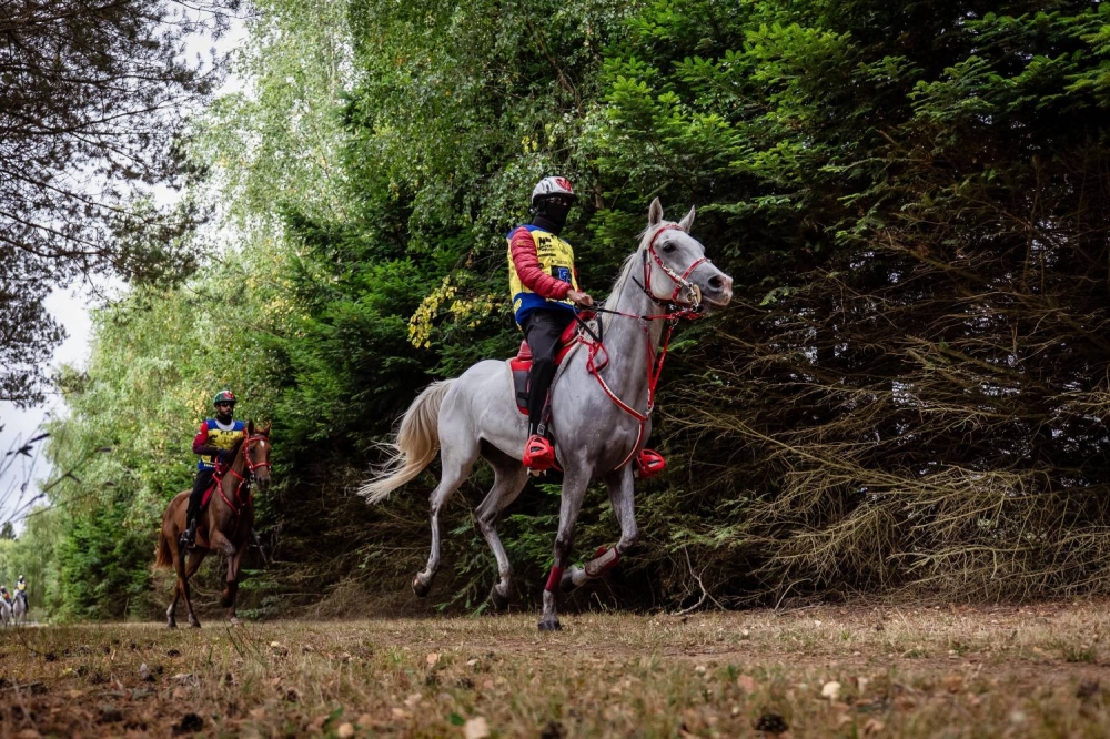 "الملكي للقدرة" يحرز فضية وبرونزية في بطولة العالم للجياد بعمر 8 سنوات