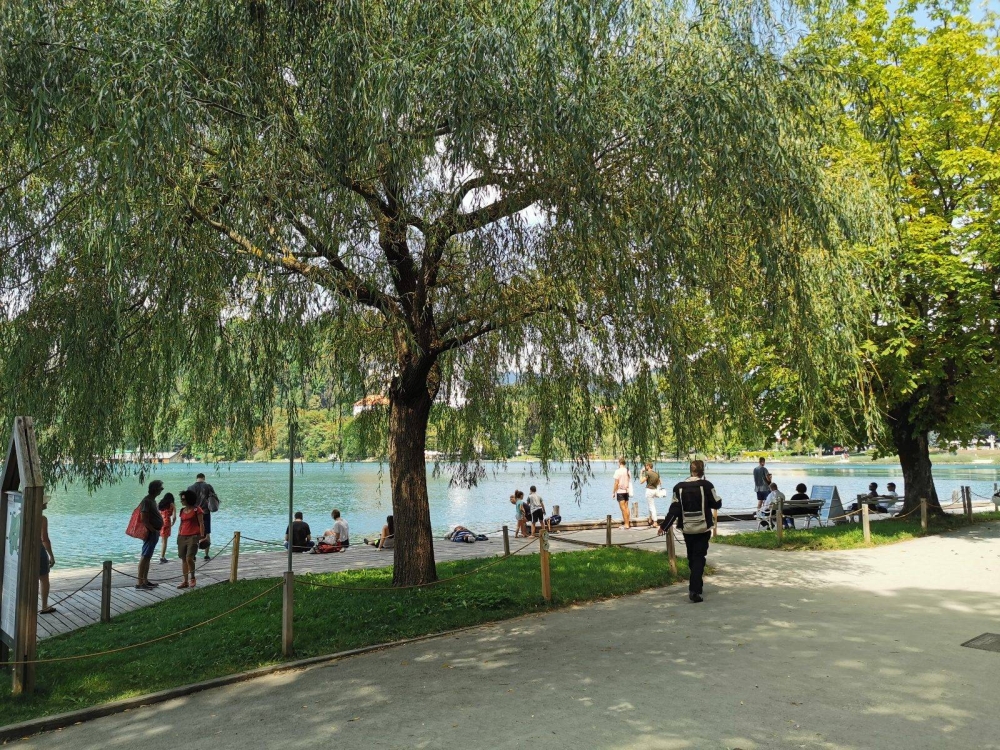 سلوفينيا.. جوهرة أوروبية تتميز بكنوز بين الجبال والبحيرات