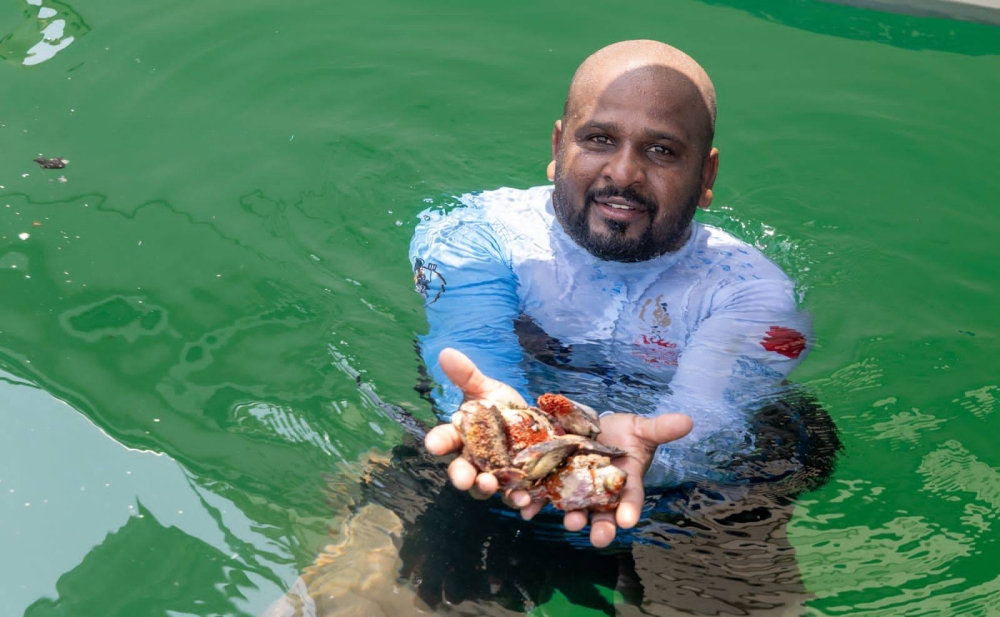 المعاودة يتوج بشوط خالد بن حمد لمسابقة الهير في موسم ناصر بن حمد للموروث البحري