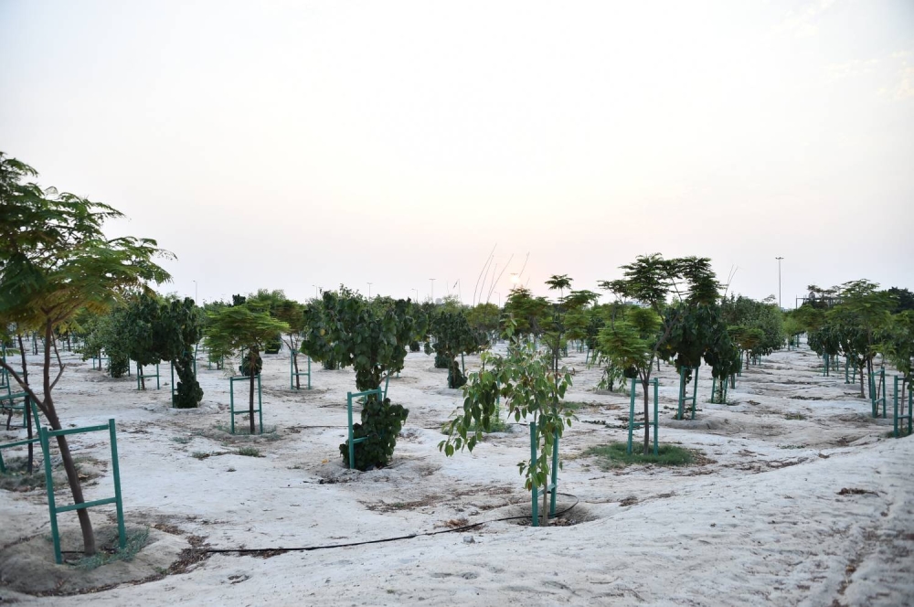 هنا مدينة سلمان.. عين &laquo;الوطن&raquo; ترصد طفرة مشاريع عملاقة تقترب أكثر فأكثر