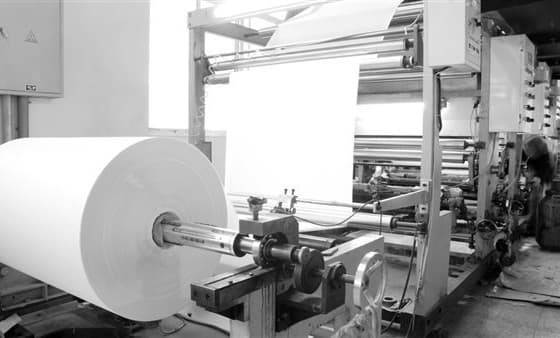 مصر.. سهم "راكتا" يصعد لأعلى مستوى في 6 أشهر بعد 4 جلسات من المكاسب