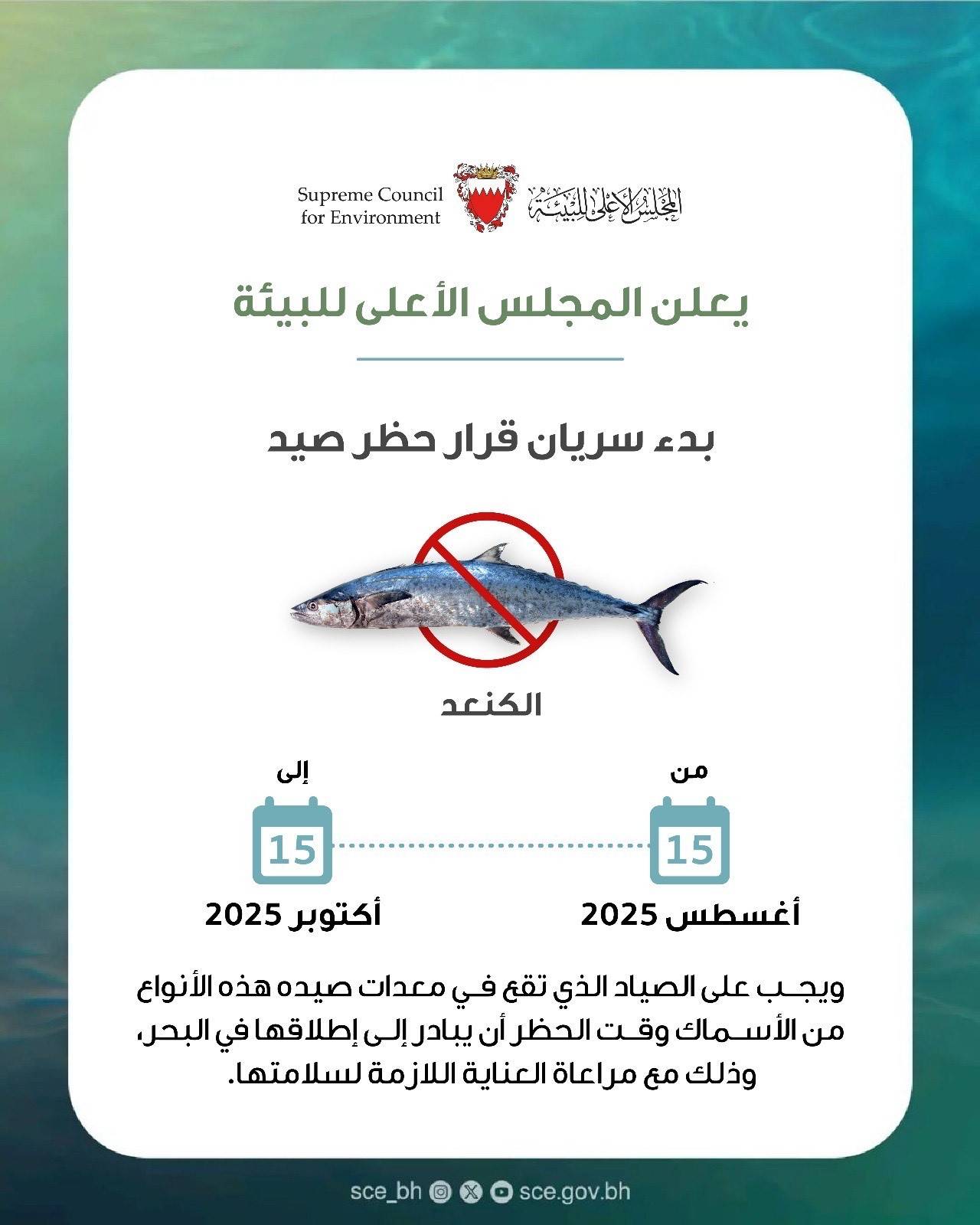 "الأعلى للبيئة": سريان حظر صيد الكنعد من 15 أغسطس حتى 15 أكتوبر المقبل