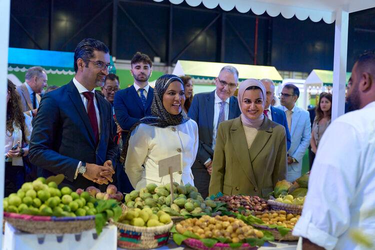 وزارة شؤون الشباب تحتفي بيوم الشباب الدولي بفعالية وطنية شاملة في مدينة شباب 2030