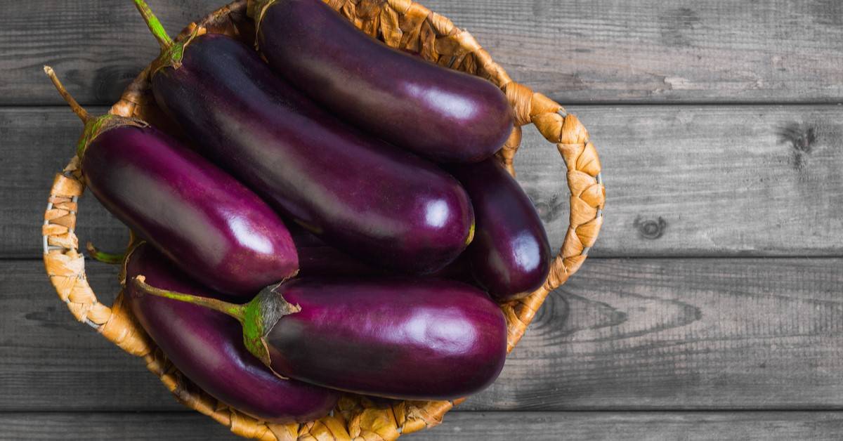 فوائد صحية مذهلة قد تحصل عليها من تناول الباذنجان النيئ