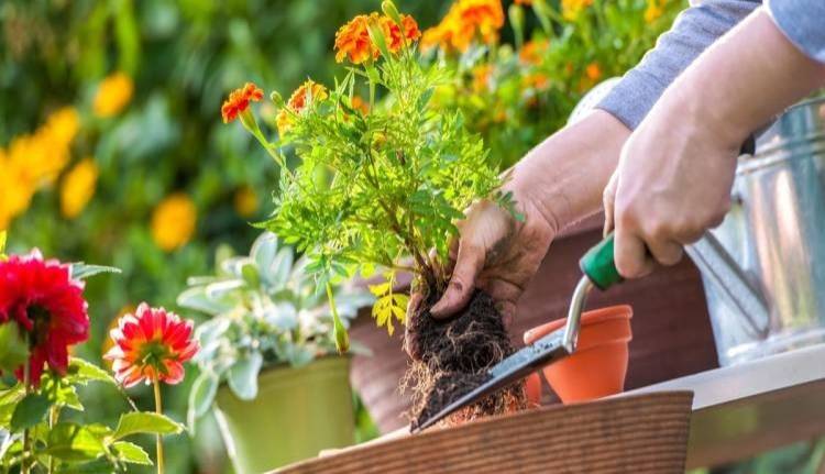 بخطوات بسيطة.. كيف تجعلين منزلك منظمًا؟