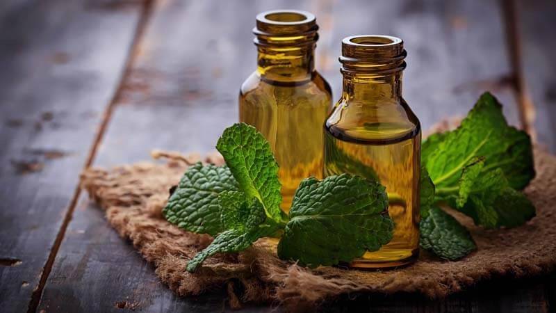 سر عطري للصحة والجمال وهدوء الأعصاب.. ما هي فوائد زيت النعناع؟