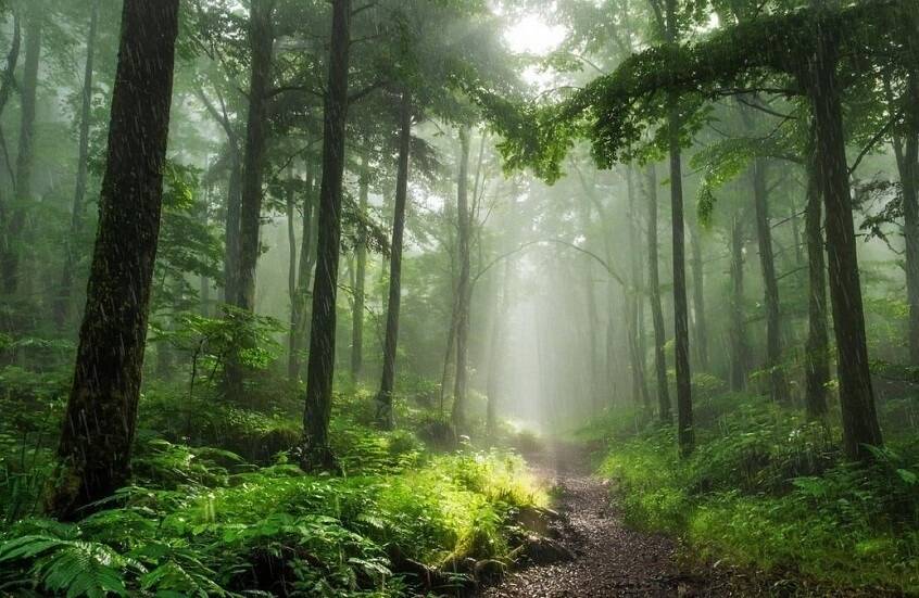 سولاستالجيا.. اضطراب نفسي جديد يرتبط بالتغيرات البيئية!
