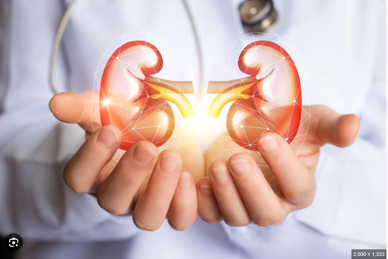 أضرار المسكنات على الكلى.. خطر صامت يهدد صحتك