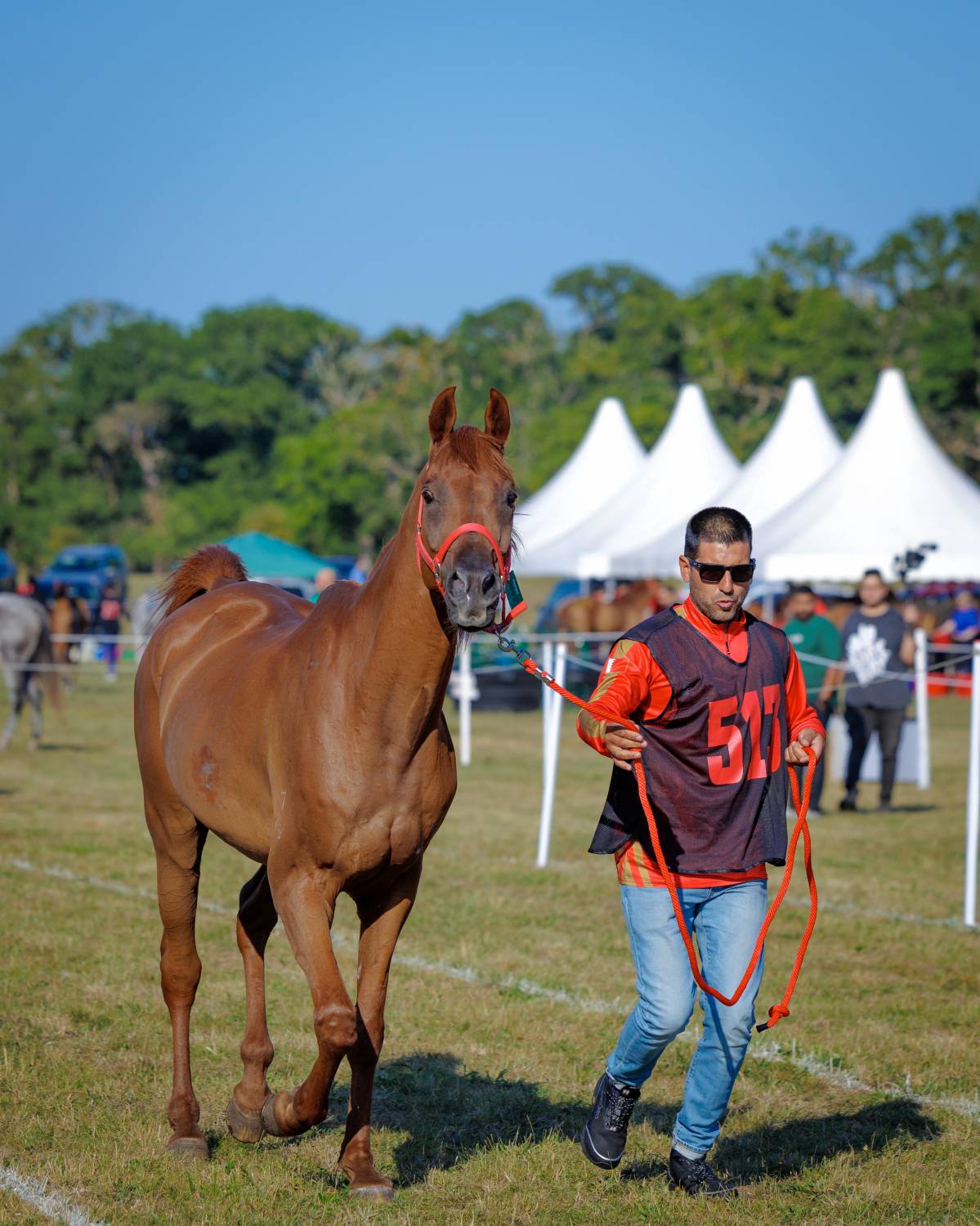 ناصر بن حمد يقود الفريق الملكي للقدرة في &laquo;راشفورد الدولي&raquo; بالمملكة المتحدة