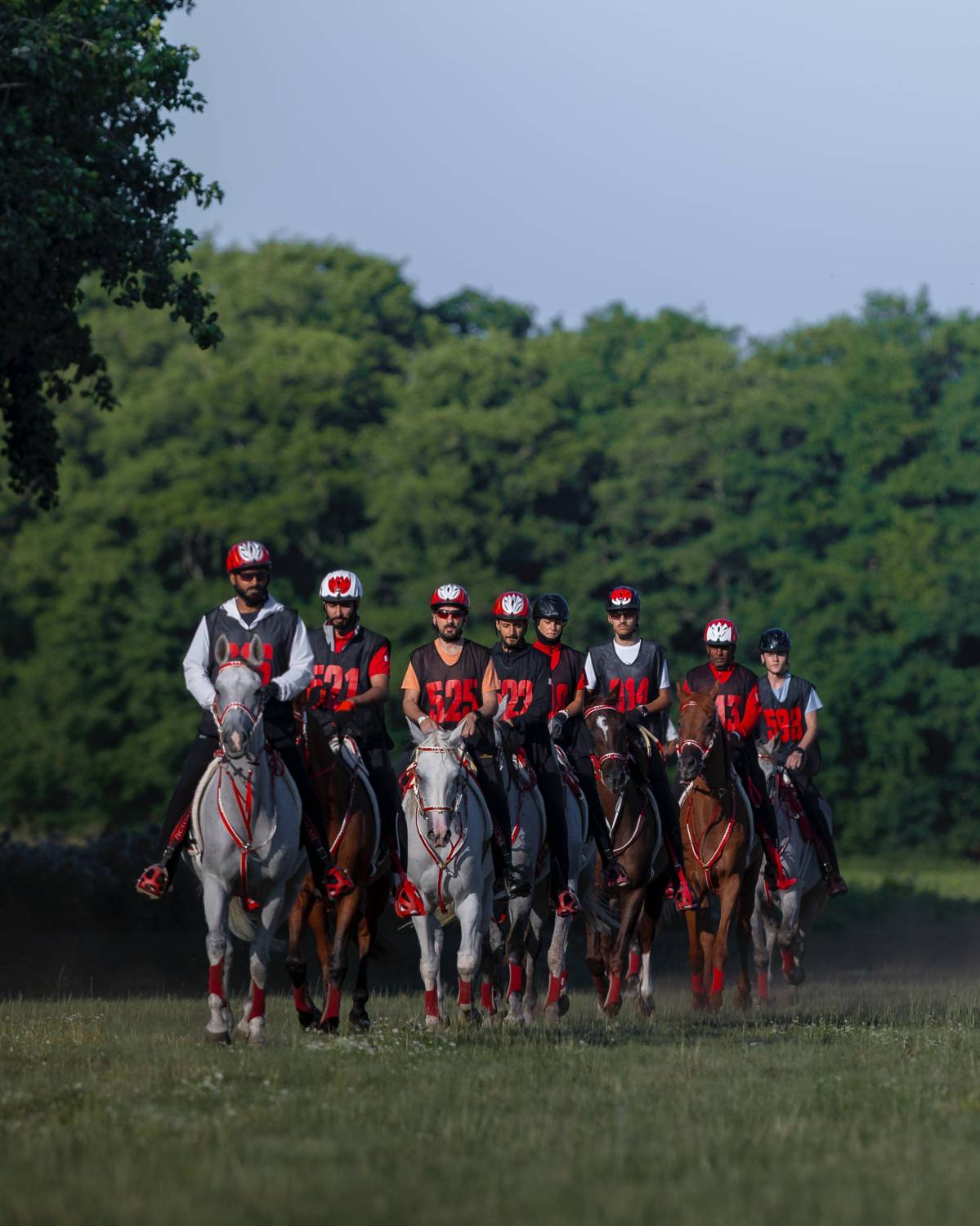 ناصر بن حمد يقود الفريق الملكي للقدرة في &laquo;راشفورد الدولي&raquo; بالمملكة المتحدة