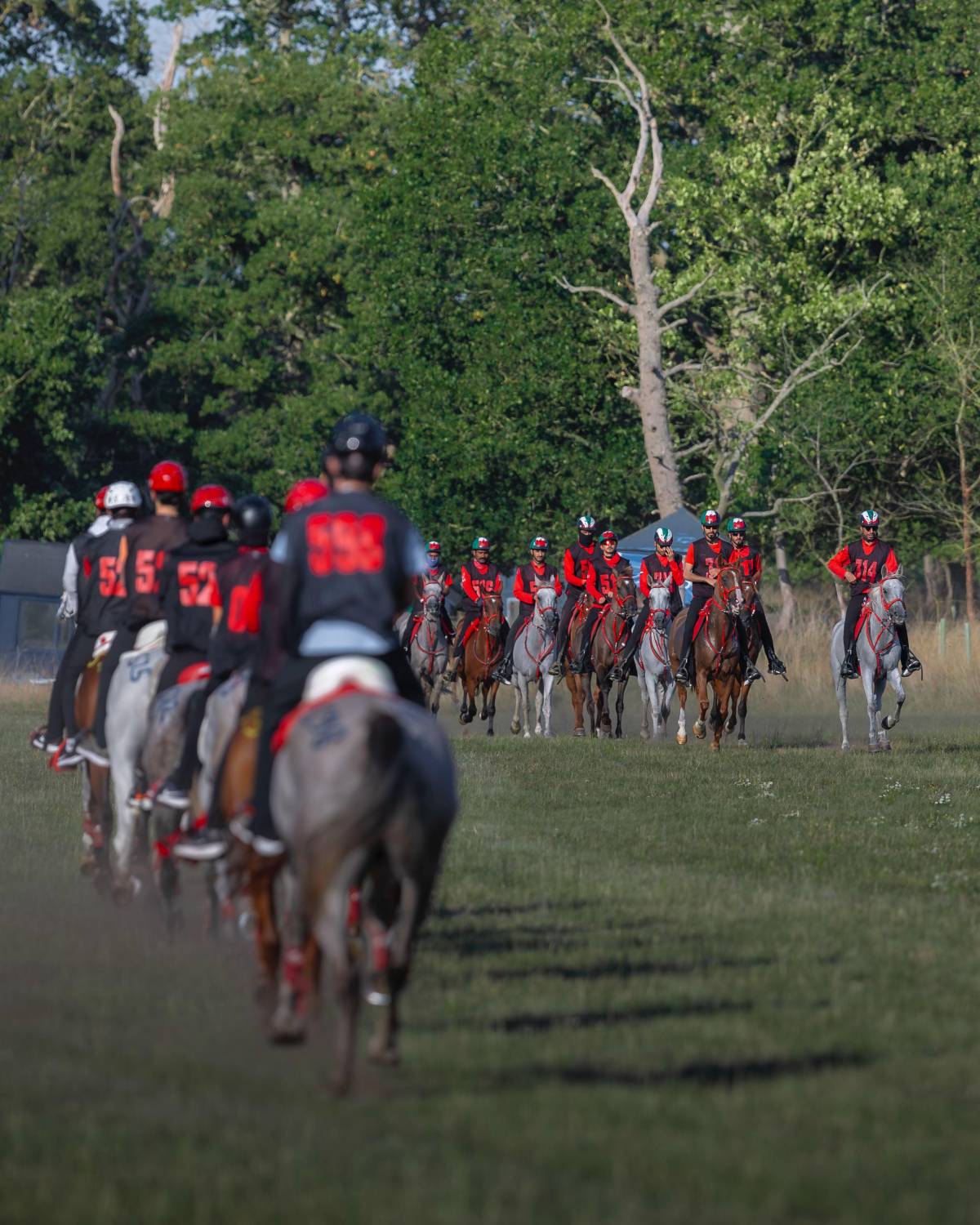 ناصر بن حمد يقود الفريق الملكي للقدرة في &laquo;راشفورد الدولي&raquo; بالمملكة المتحدة