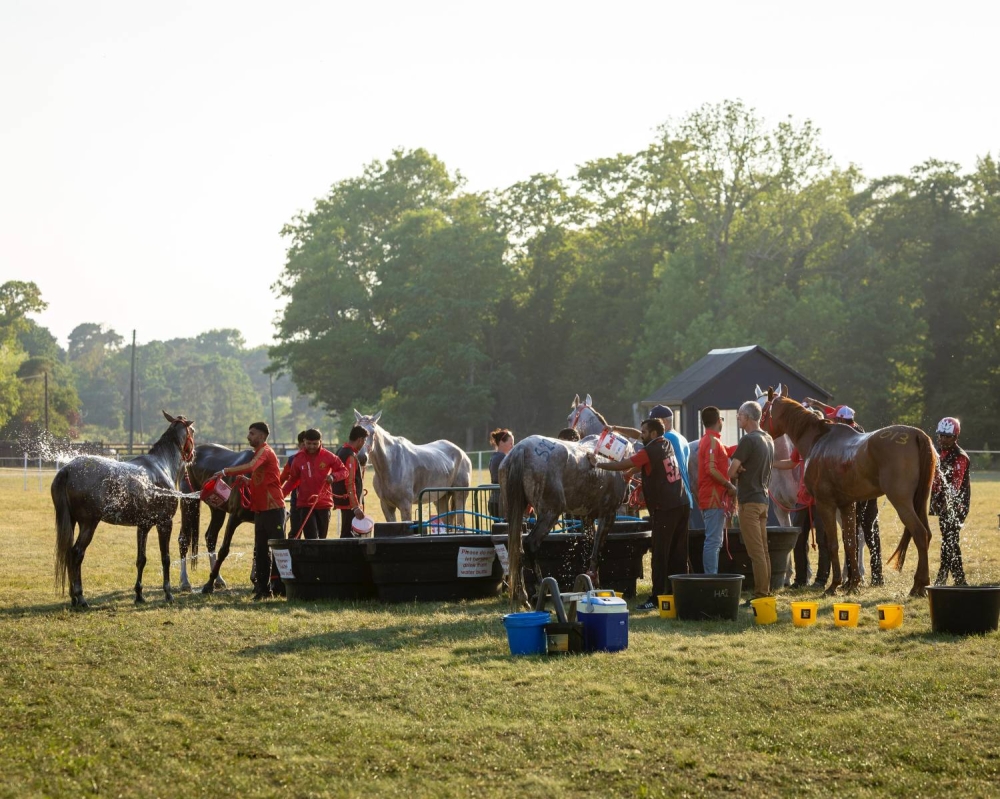 ناصر بن حمد يقود الفريق الملكي للقدرة في &laquo;راشفورد الدولي&raquo; بالمملكة المتحدة