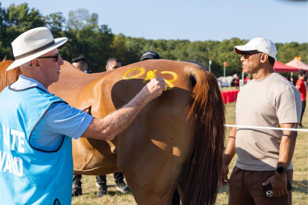 ناصر بن حمد يقود الفريق الملكي للقدرة في &laquo;راشفورد الدولي&raquo; بالمملكة المتحدة