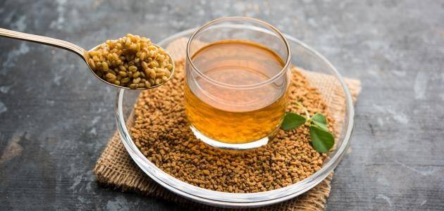 بين الفائدة والضرر.. هل شرب الحلبة يوميًا آمن لصحتك؟