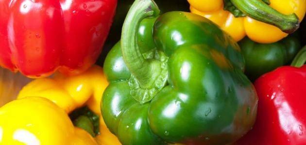 5 فوائد لبذور الفلفل الرومي.. منها تحسين الهضم