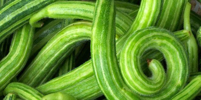 هل سمعت عن فوائد الفقوس؟ كنز طبيعي للبشرة والمعدة والقولون