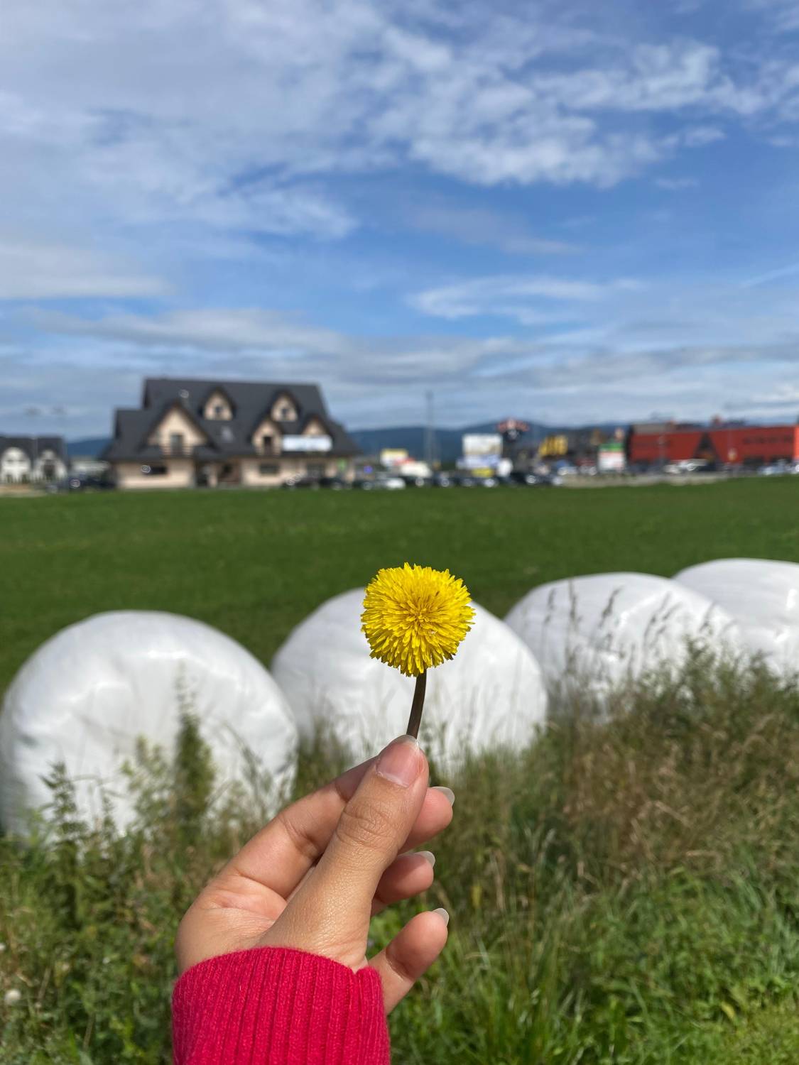 بولندا جوهرة أوروبا.. رحلة بين سحر وارسو وقمم زاكوبان