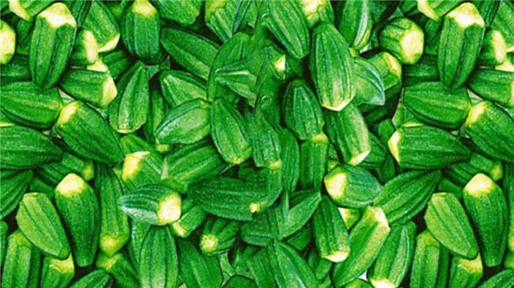 4 طرق لتخزين البامية وحفظها لأطول فترة ممكنة