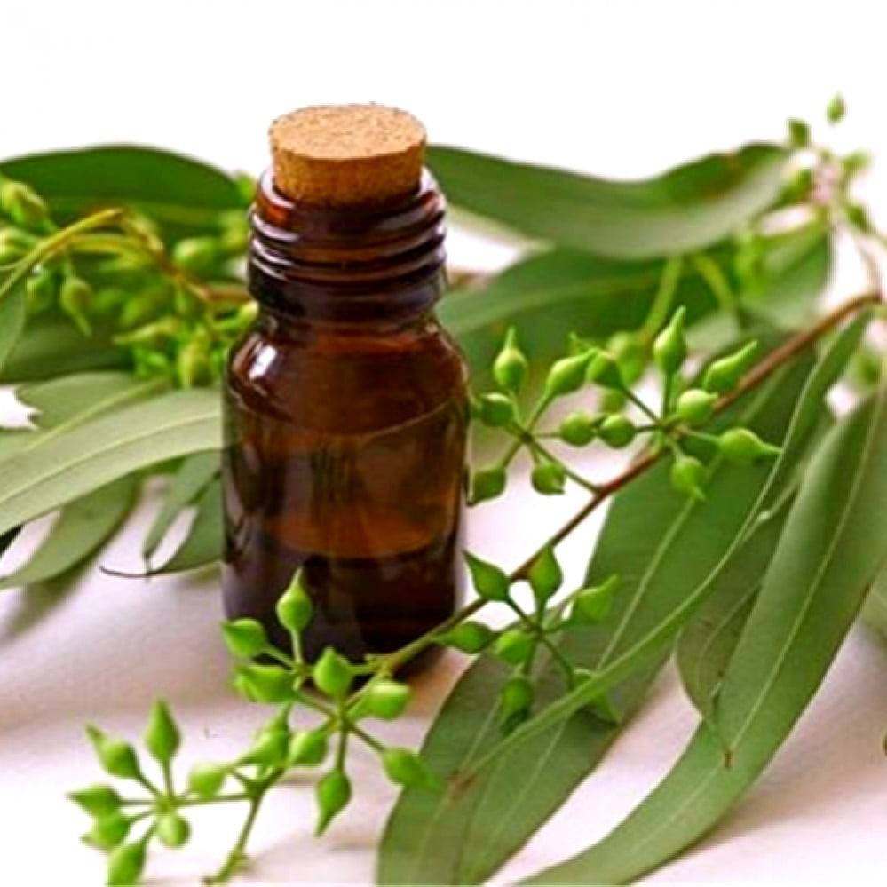 5 فوائد مذهلة لزيت الكافور.. من العناية بالبشرة حتى تهدئة الأعصاب