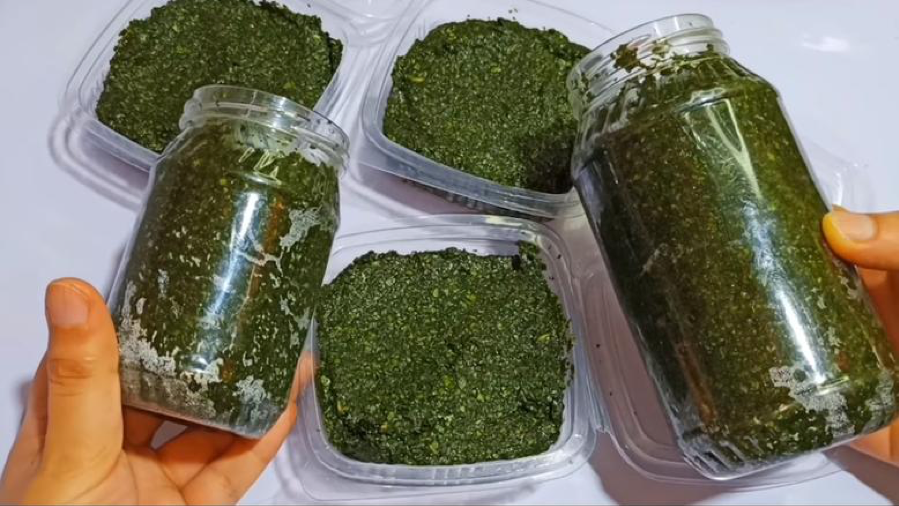 5 طرق لتخزين الملوخية الخضراء والحفاظ على طعمها وفوائدها