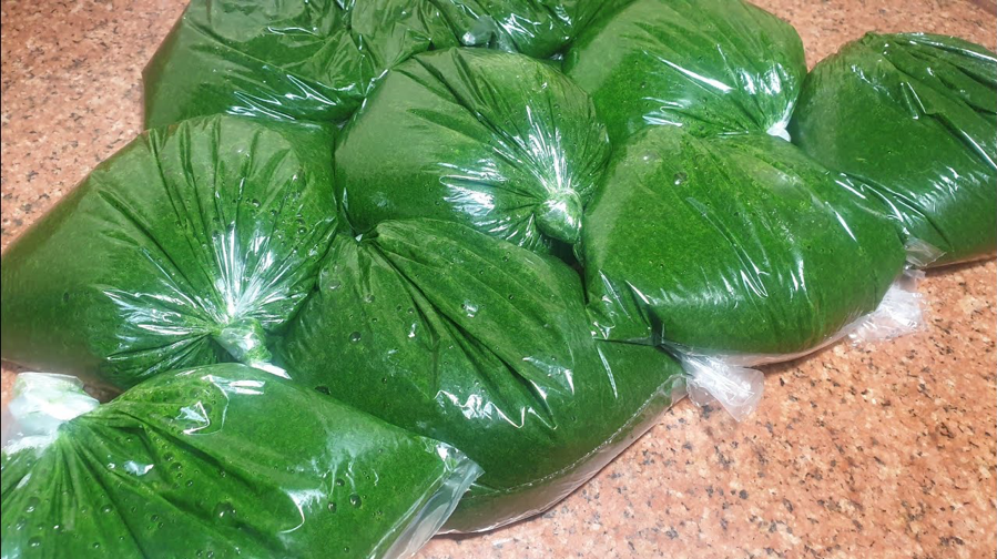 5 طرق لتخزين الملوخية الخضراء والحفاظ على طعمها وفوائدها