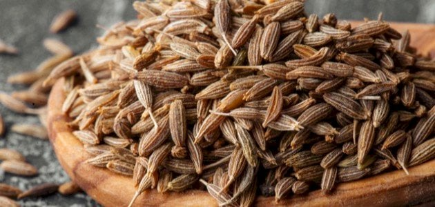 10 فوائد صحية مذهلة للكراوية.. منها خسارة الوزن