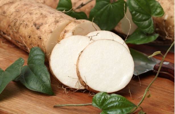 6 فوائد صحية لنبات اليام.. منها تحسين الذاكرة