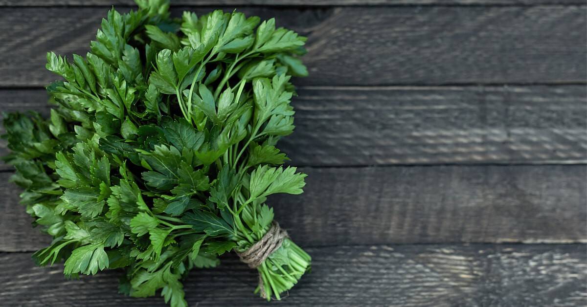 أضرار للبقدونس على القولون والمعدة.. تعرف عليها