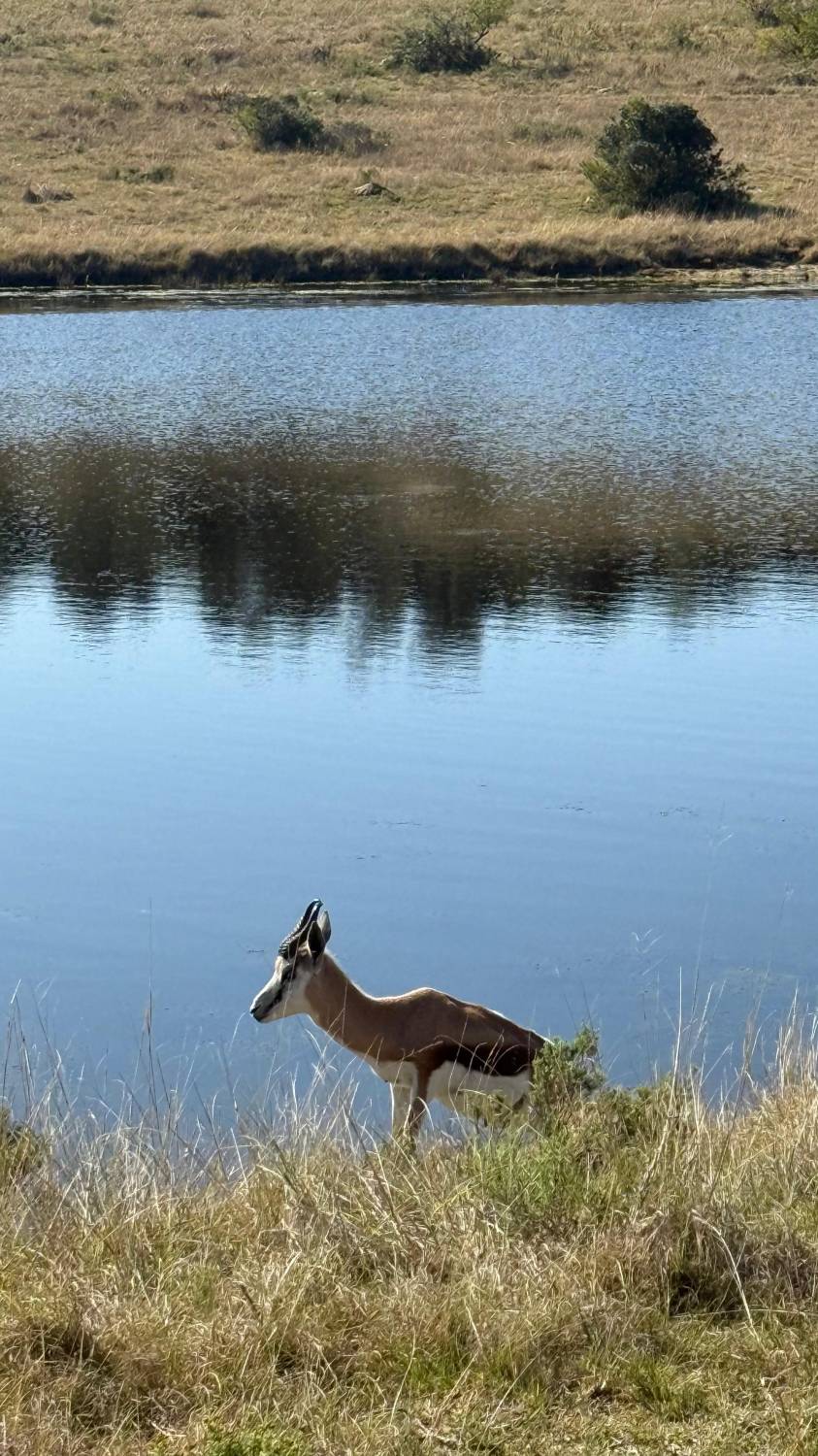 جنوب إفريقيا.. رحلة العمر في قلب السفاري
