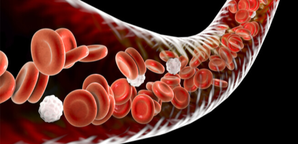 علامات يجب مراقبتها.. كيف تعرف أعراض اضطرابات الدم وتستعد للتشخيص المبكر؟