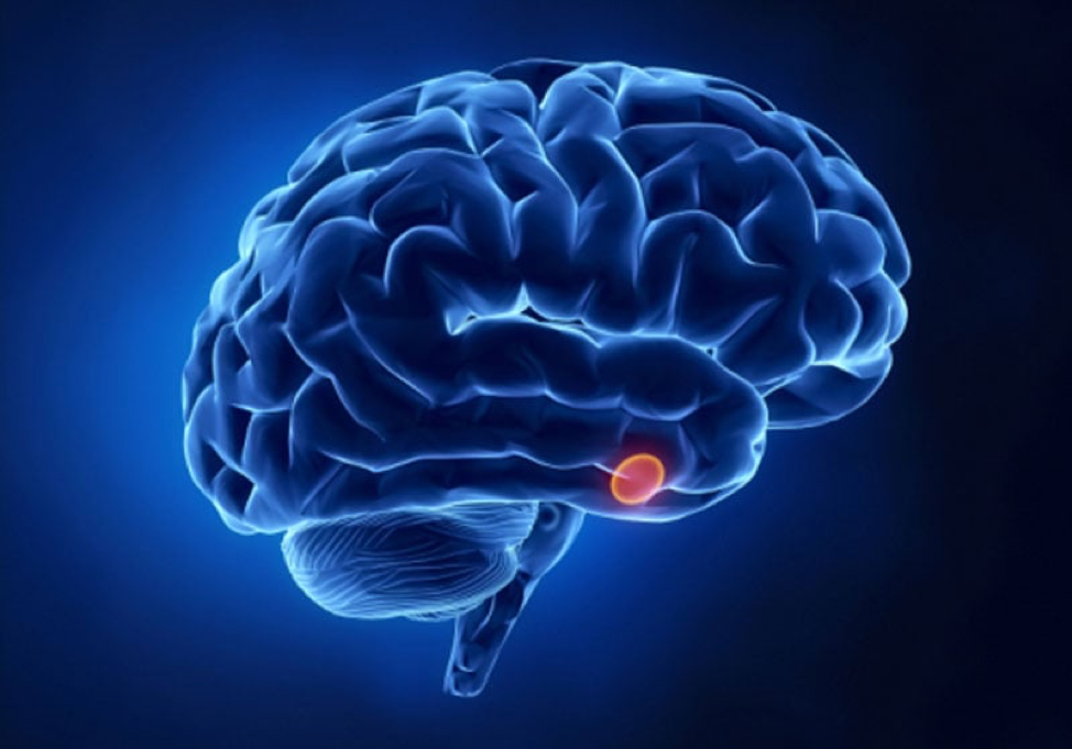 المفتاح والقفل.. كيف يعمل جهاز الغدد الصماء في الجسم؟