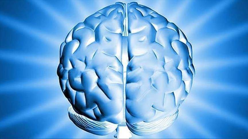 لتعزيز قدراتك الذهنية.. 9 عادات تقوي الدماغ وتحافظ على الذاكرة