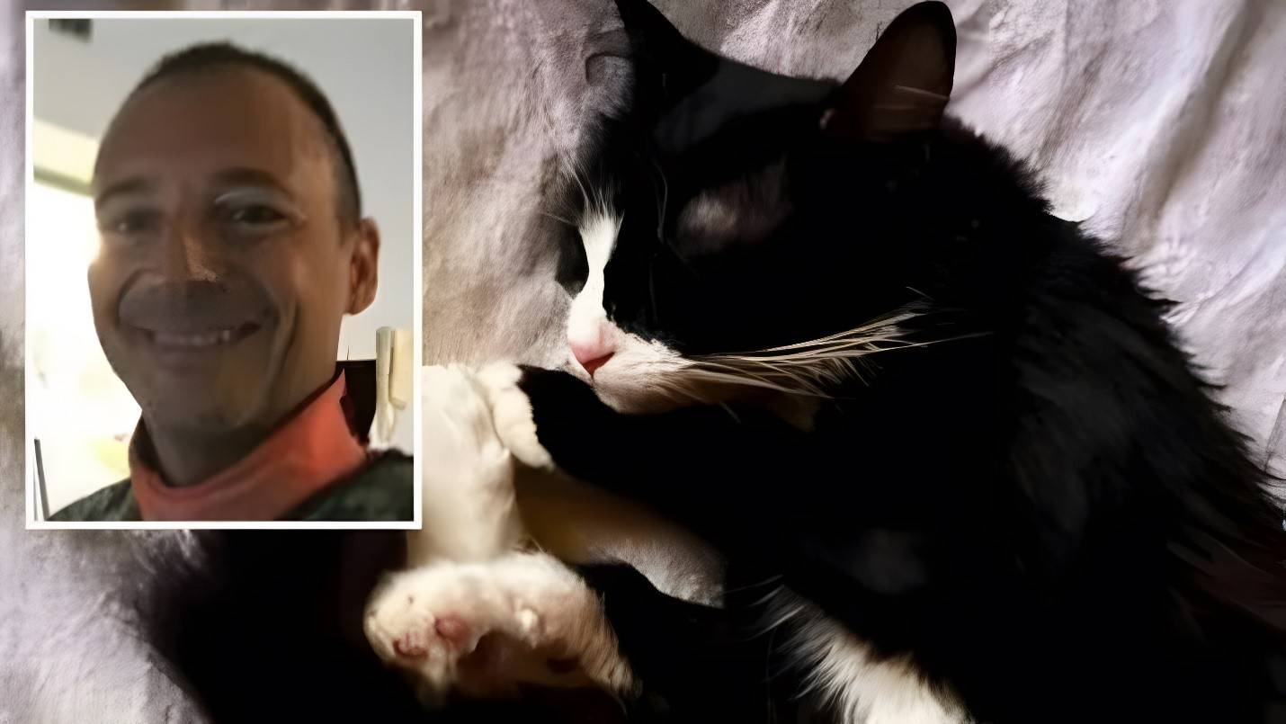 خالف القوانين.. طبيب إيطالي ينقذ قطته باستخدام الأجهزة الطبية في المستشفى