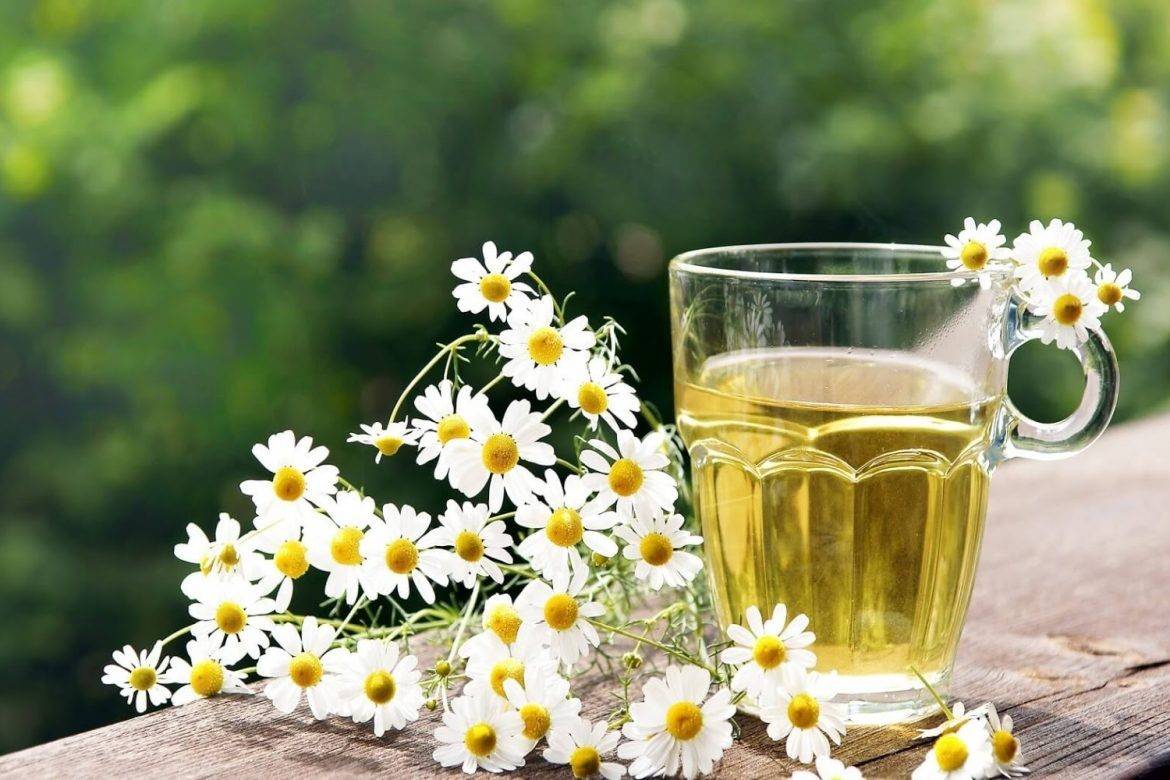 5 مشروبات طبيعية لتقوية الحبال الصوتية وعلاج بحة الصوت