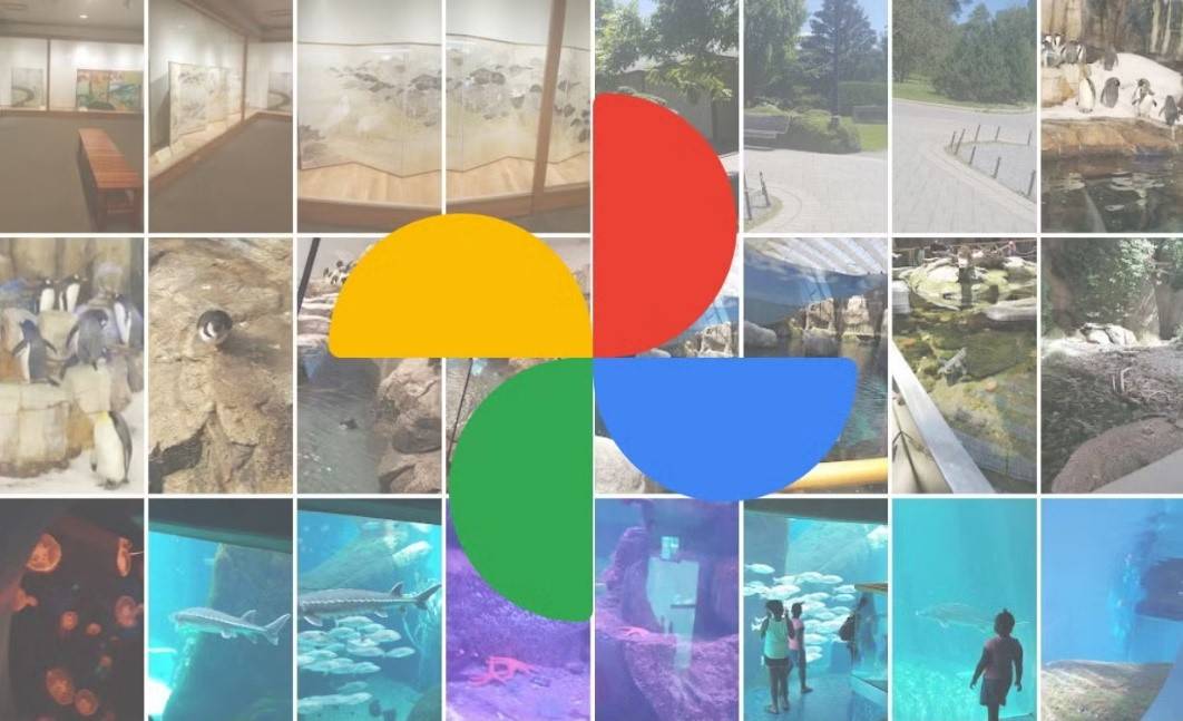 بخطوات بسيطة.. استرجع صورك المحذوفة من Google Photos في دقائق معدودة