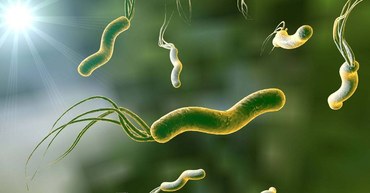 هل جرثومة المعدة من الأمراض المعدية؟