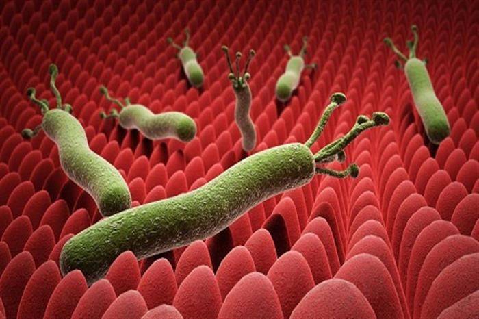 هل جرثومة المعدة من الأمراض المعدية؟